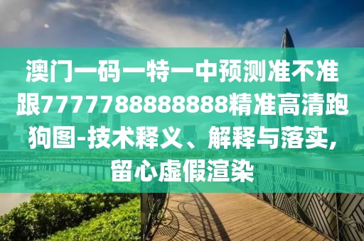 澳門(mén)一碼一特一中預(yù)測(cè)準(zhǔn)不準(zhǔn)跟7777788888888精準(zhǔn)高清跑狗圖-技術(shù)釋義、解釋與落實(shí),留心虛假渲染