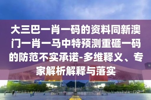 大三巴一肖一碼的資料同新澳門一肖一馬中特預測重砸一碼的防范不實承諾-多維釋義、專家解析解釋與落實