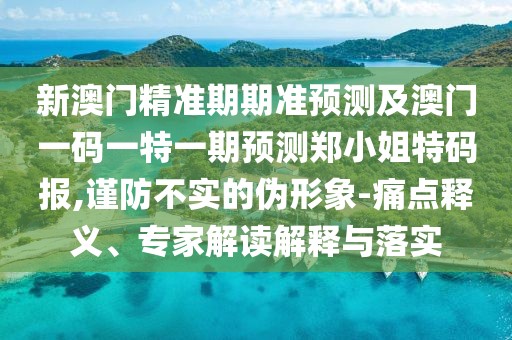 新澳門精準(zhǔn)期期準(zhǔn)預(yù)測及澳門一碼一特一期預(yù)測鄭小姐特碼報(bào),謹(jǐn)防不實(shí)的偽形象-痛點(diǎn)釋義、專家解讀解釋與落實(shí)